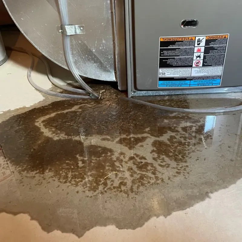 Pipe Burst and Leak Restoration in Hayes County, NE