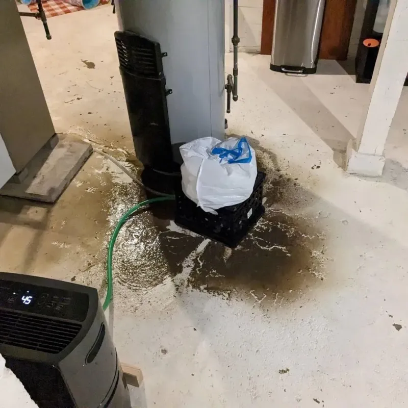 Sewage Backup Cleanup Service in Hayes County, NE